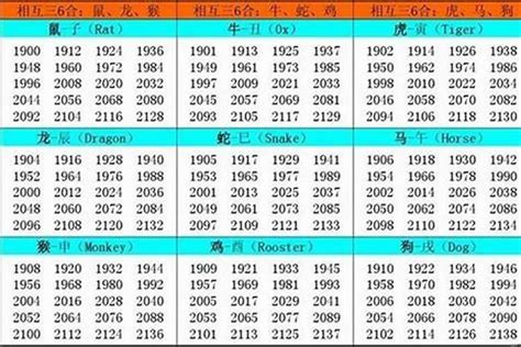 89年属什么命|1989年属什么生肖，89年出生是什么命